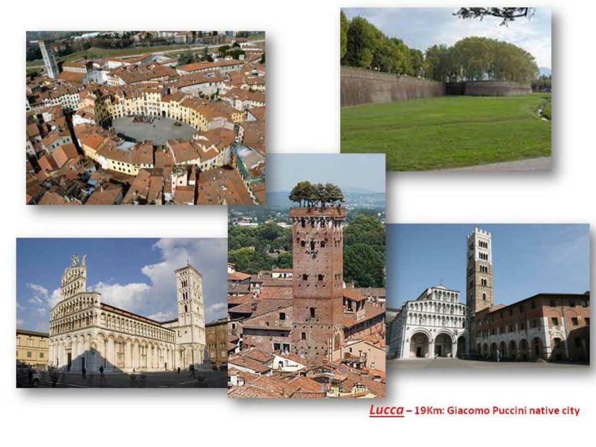 Altido Apt For 8 With Huge Terrace In Old Town Of Viareggio Bagian luar foto